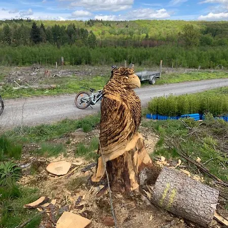 Direkt Am Wald